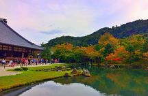 Kyoto top must-see Golden pavilion and Bamboo forest half-day Private tour 