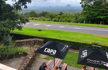 Glass House Mountains, Maleny and Montville Tour from Brisbane