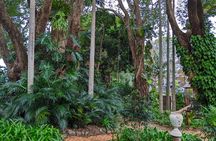Glass House Mountains, Maleny and Montville Tour from Brisbane