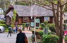 Glass House Mountains, Maleny and Montville Tour from Brisbane