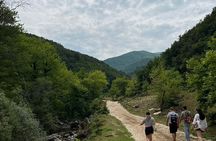 Waterfalls and wine flows - Bogova waterfall and Alpeta Winery Winetasting tour