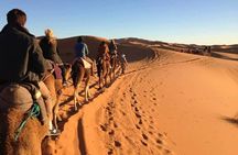 Fes to Desert journey through the heart of Morocco 