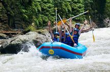 Bali Rafting at Ayung River Ubud - (Private & All-Inclusive)