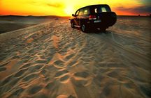 Desert Safari – Morning, Afternoon, Sunrise & Sunset Options
