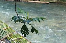 Hidden Waterfalls, Bird Sanctuary & Bamboo Rafting combo package