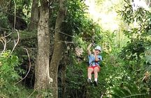 16 Lines Zipline, Cave and Mud Spa Combo Tour with Lunch in Fiji