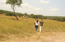2 Day Lake Mburo National park wildlife Safari