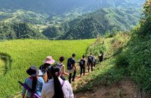 Sapa Trekking 2 Days 1 Night From Hanoi With Local Guide