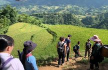 Sapa Trekking Tour 2 Days 1 Night With Local Guide