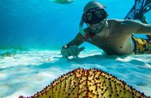 Columbia, Palancar & Cielo Cozumel Snorkel Tour