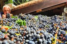 Greve in Chianti Wine Tasting and Winery Tour