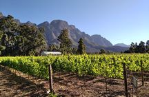 Private Package to Finest Vineyards - Stellenbosch pickup