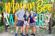Cozumel: Private Excursion - Van or MiniBus