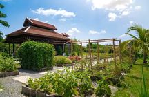 Morning Session - Thai Cooking Class in Traditional Pavilion with Beautiful Farm