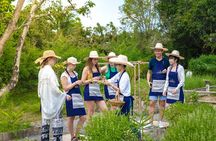 Morning Thai Cooking with Grandma - Market Visit & Farm Tour