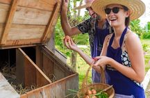 Indulge in Authentic Thai Flavors and Serene Organic Farm (Full Day Course)