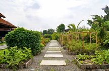 Full-Day Thai Cooking Class with Grandma - Market and Farm Tour