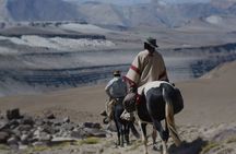 Crossing the Andes on Horseback in a 5-Day Tour