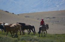 Crossing the Andes on Horseback in a 5-Day Tour