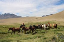 Crossing the Andes on Horseback in a 5-Day Tour