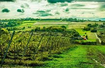 Private Wine Tasting at Vineyard From Krakow