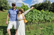 Private Wine Tasting at Vineyard From Krakow
