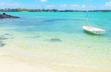 Snorkeling with Giant Turtles & 4 Beaches in the North