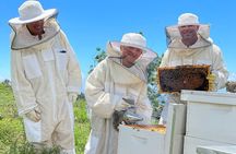 Honey Bee Adventure