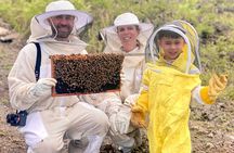 Honey Bee Adventure