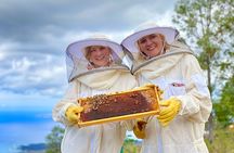 Honey Bee Adventure