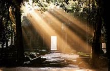 Angkor Sunrise Half-Day Tour with Private Vehicles & Tour Guide 