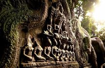 Angkor Sunrise Half-Day Tour with Private Vehicles & Tour Guide 