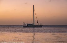 Catamaran Cruise, Open Bar, Food and Snorkeling