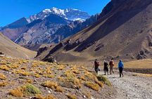 Aconcagua Base Camp Full Day Trek 