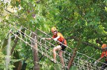 Phoenix Adventure Park Zipline, High Rope Course In Chiang Mai