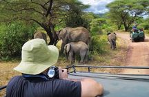 4-Days Private Midrange, Tarangire Ngorongoro, Manyara & Materuni