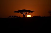3 Days Private Midrange safari from and to Zanzibar