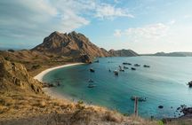 Full-Day Adventure Tour to komodo Island with join Speed Boat tur