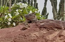 Agadir Crocoparc Tour with local guide
