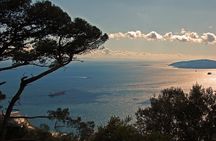 Rock Tour in Gibraltar by Bus with Tickets
