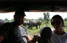 Explore Beauty Of Yala (Ruhuna) National Park From South Coast in One Day.