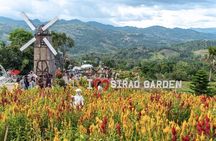 Panoramic Tour of Cebu