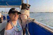 Bark on the Ark