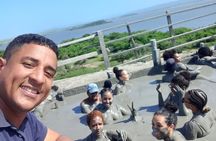 Unforgettable private mud volcano tour with brunch from Cartagena
