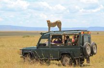6 Days / 5 Nights Tanzania Big Five Safari & Materuni Waterfalls