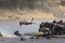 6 Days / 5 Nights Tanzania Big Five Safari & Materuni Waterfalls