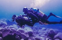 Discover Scuba Diving, Tenerife. Photos and videos included