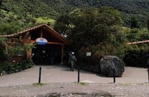 Papallacta Hot-Springs & Andean Winery Experience