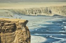 Adventure in the Paracas National Reserve in private