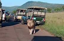 Full Day Pilanesberg Safari Adventure